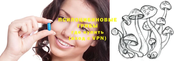 ГАЛЛЮЦИНОГЕННЫЕ ГРИБЫ Вязьма