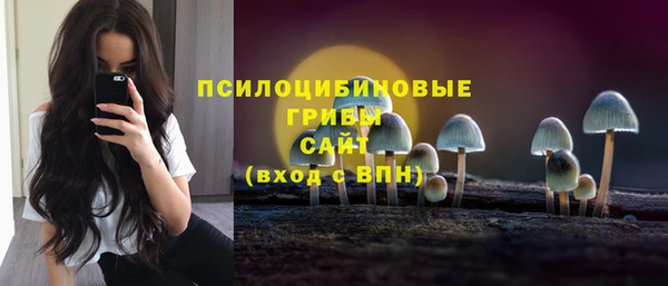 ГАЛЛЮЦИНОГЕННЫЕ ГРИБЫ Вязьма