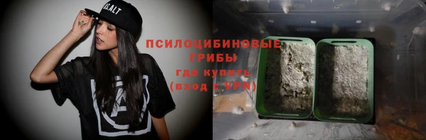 ГАЛЛЮЦИНОГЕННЫЕ ГРИБЫ Вязьма