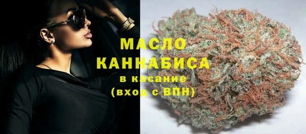 прущая мука Вяземский
