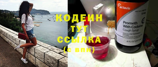 прущая мука Вяземский