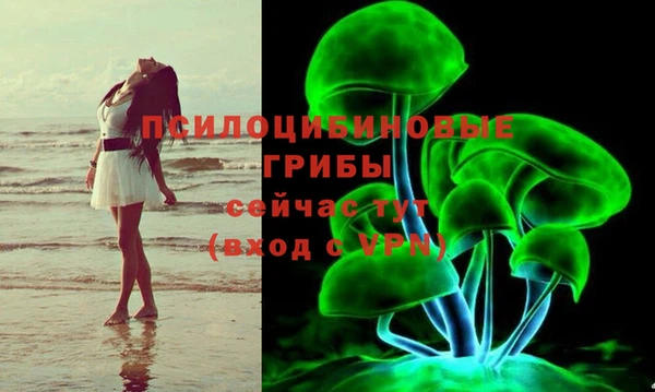 прущая мука Вяземский