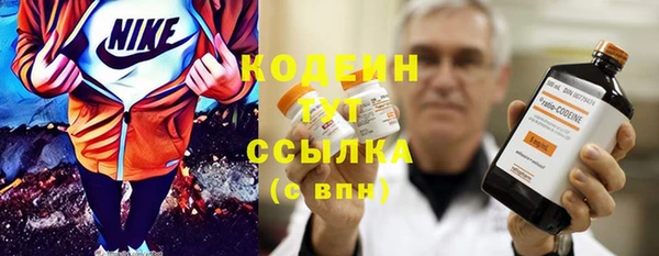 прущая мука Вяземский