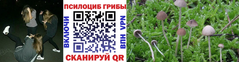Галлюциногенные грибы GOLDEN TEACHER Купить закладки Бикин
