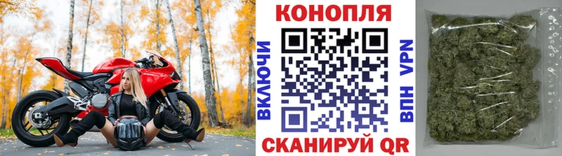 Купить  Бикин  Каннабис индика 